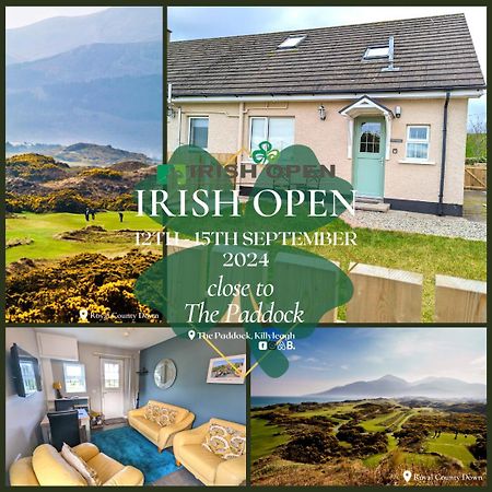 The Paddock Apartamento Killyleagh Exterior foto