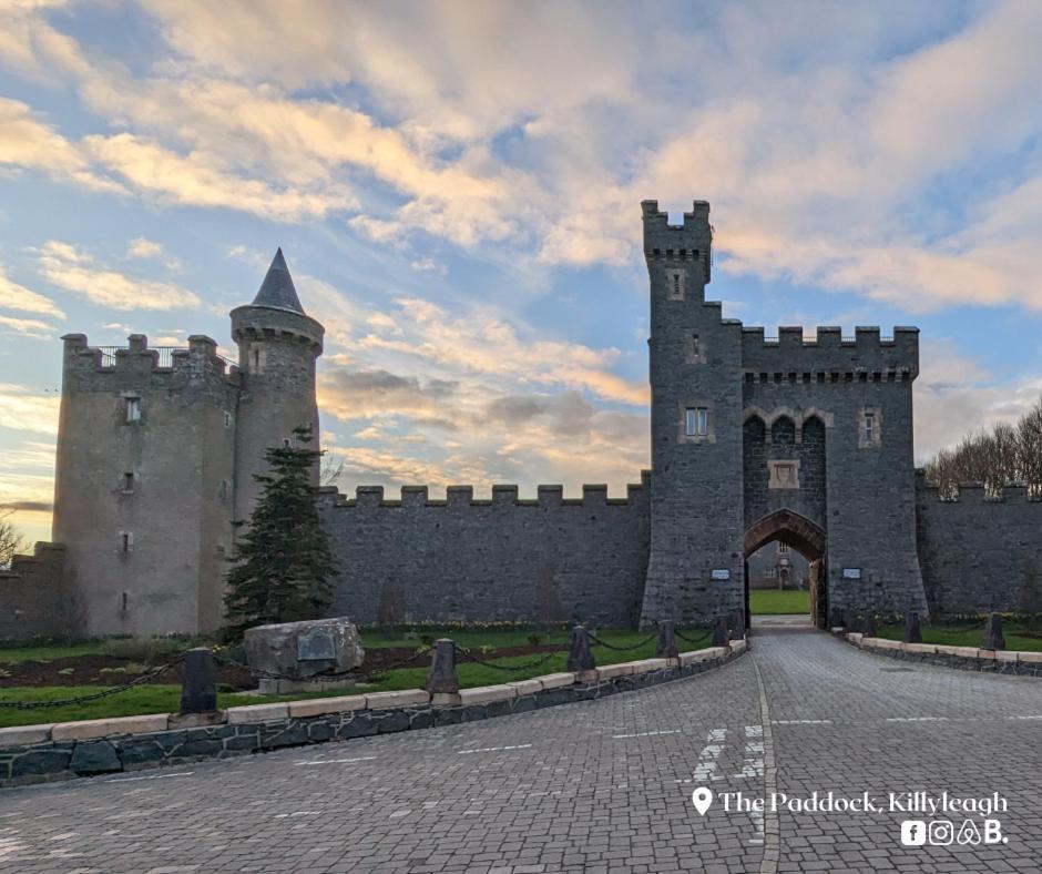 The Paddock Apartamento Killyleagh Exterior foto