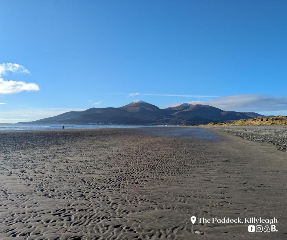 The Paddock Apartamento Killyleagh Exterior foto