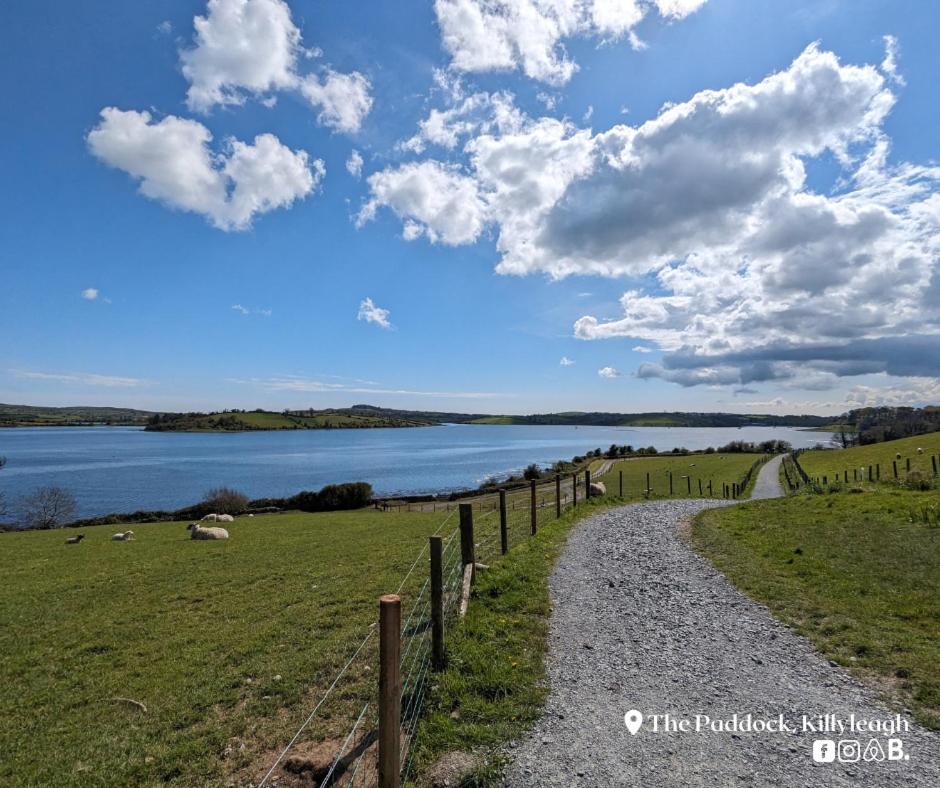 The Paddock Apartamento Killyleagh Exterior foto