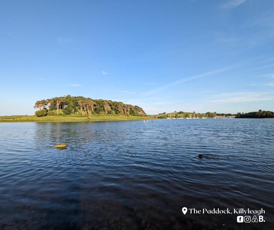 The Paddock Apartamento Killyleagh Exterior foto
