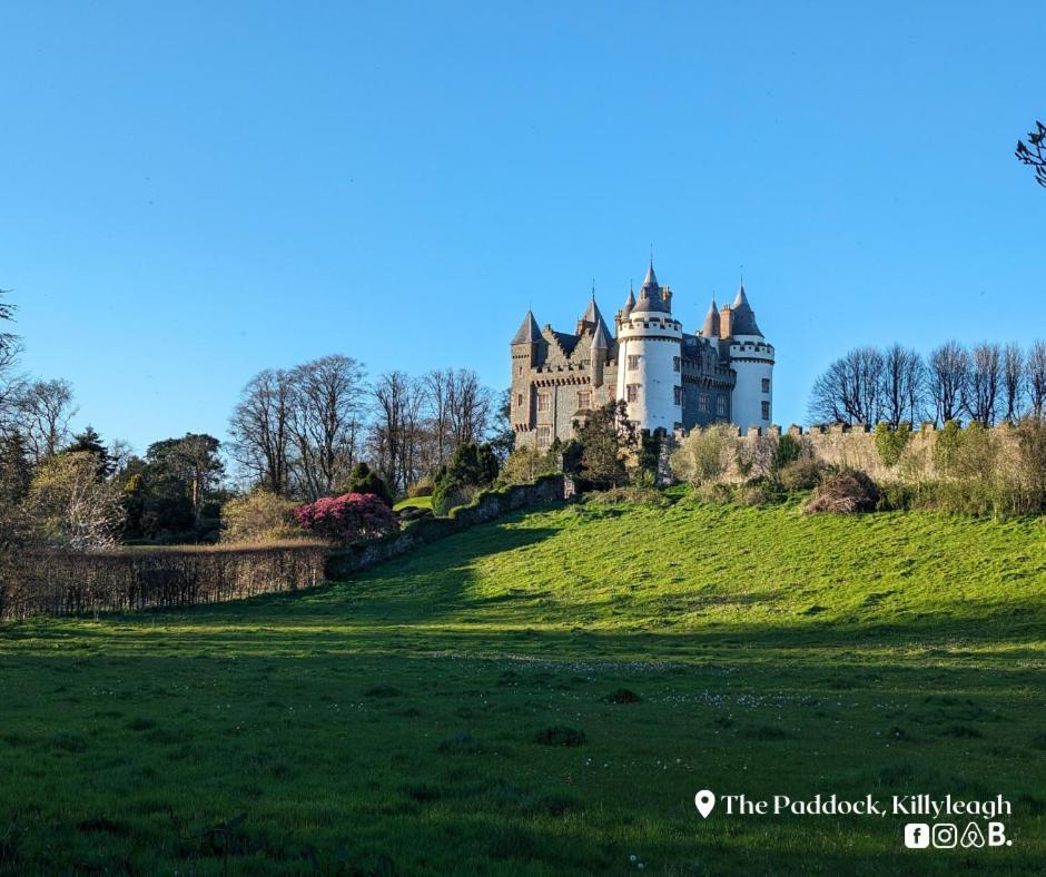 The Paddock Apartamento Killyleagh Exterior foto