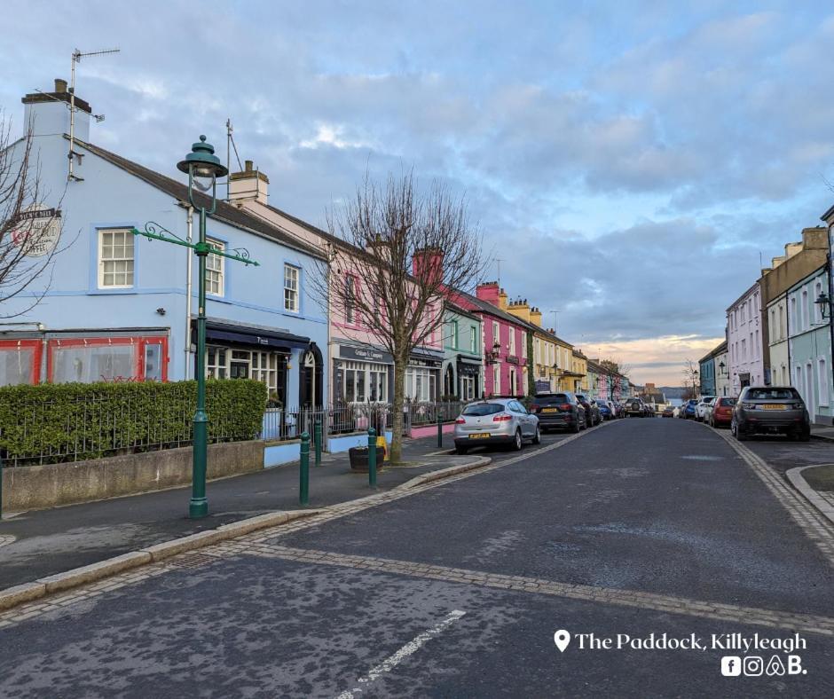 The Paddock Apartamento Killyleagh Exterior foto